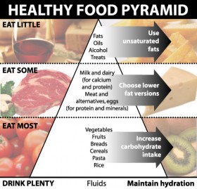 Food pyramid